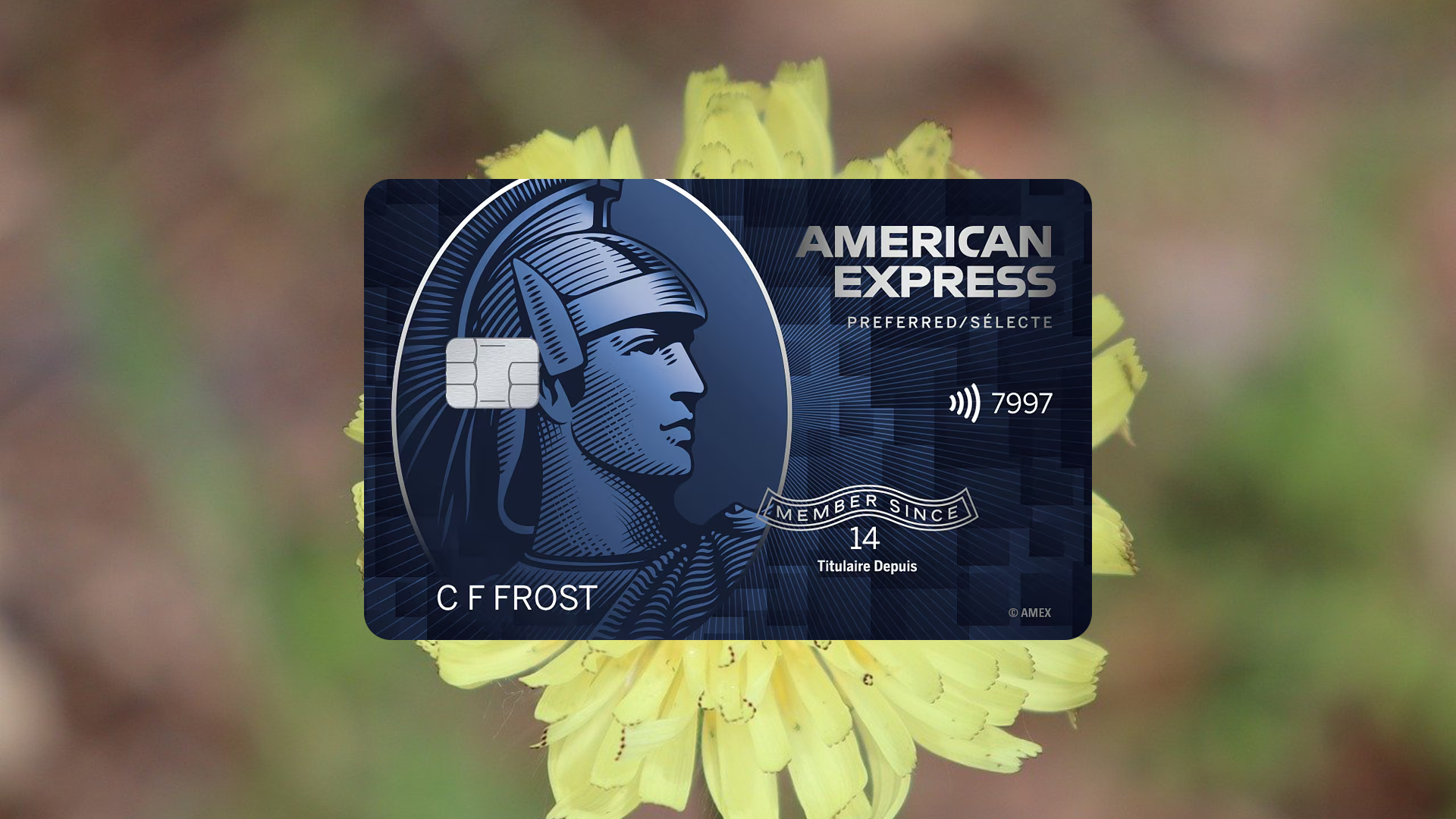 How to Apply for the AMEX SimplyCash Preferred Card Step-by-Step Guide
